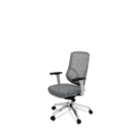 Kai Task Chair - Grey Frame