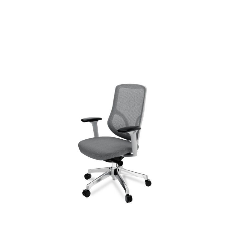 Kai Task Chair - Grey Frame